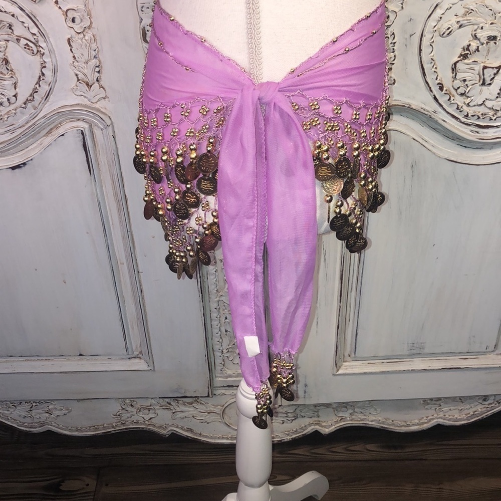 Orchid Sheer  Gold Coin Belly Dance Chiffon,  Hip Scarf - Picture 4 of 5
